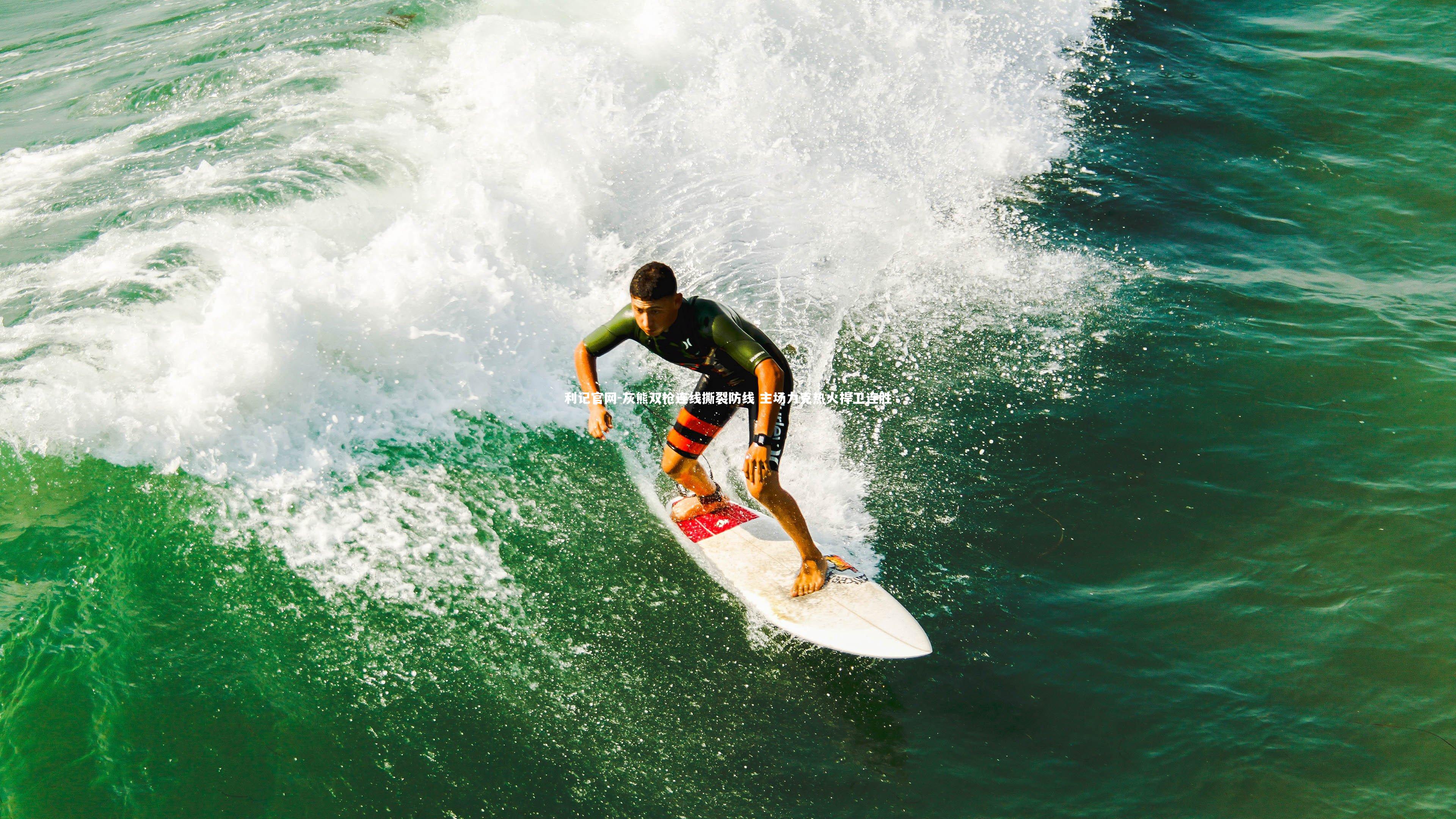 灰熊双枪连线撕裂防线 主场力克热火捍卫连胜